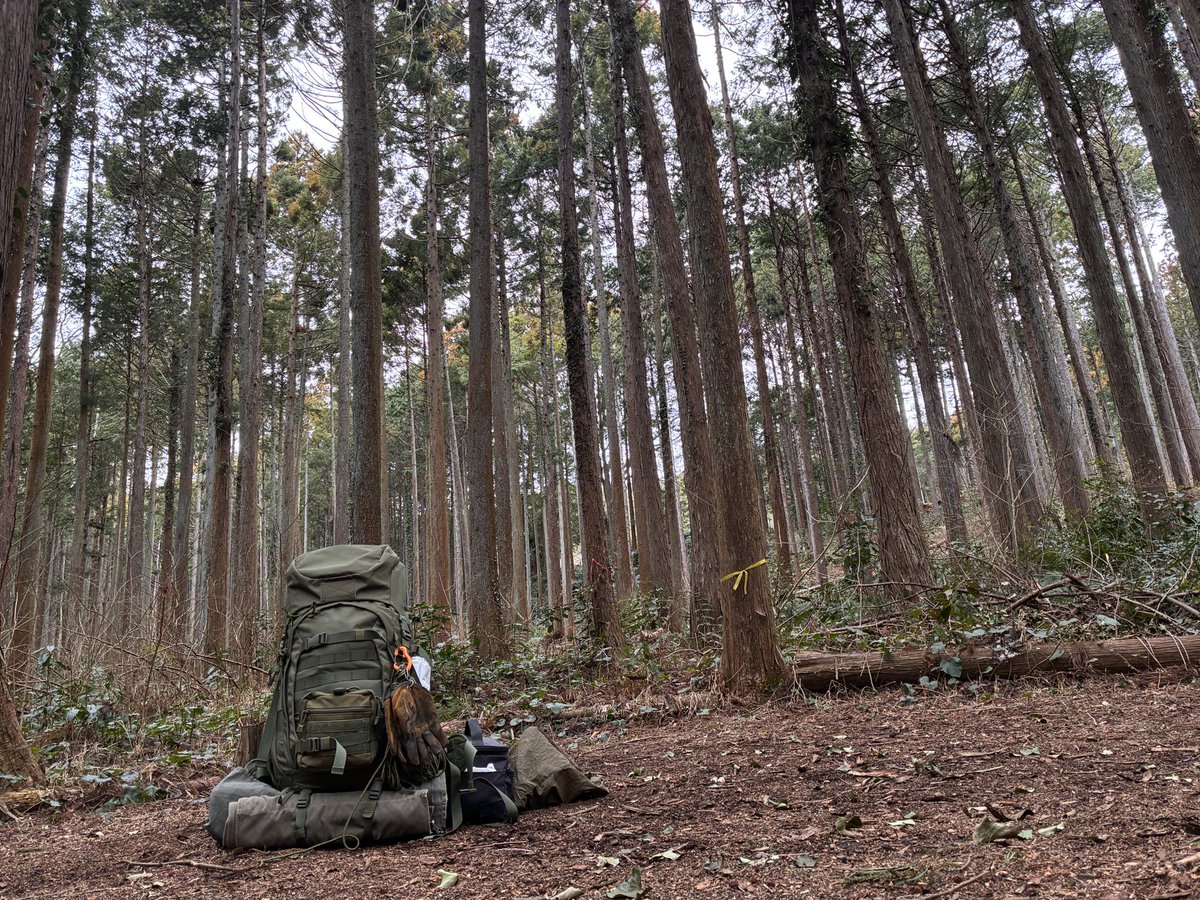 ハチワレキャンプ△ tweet media