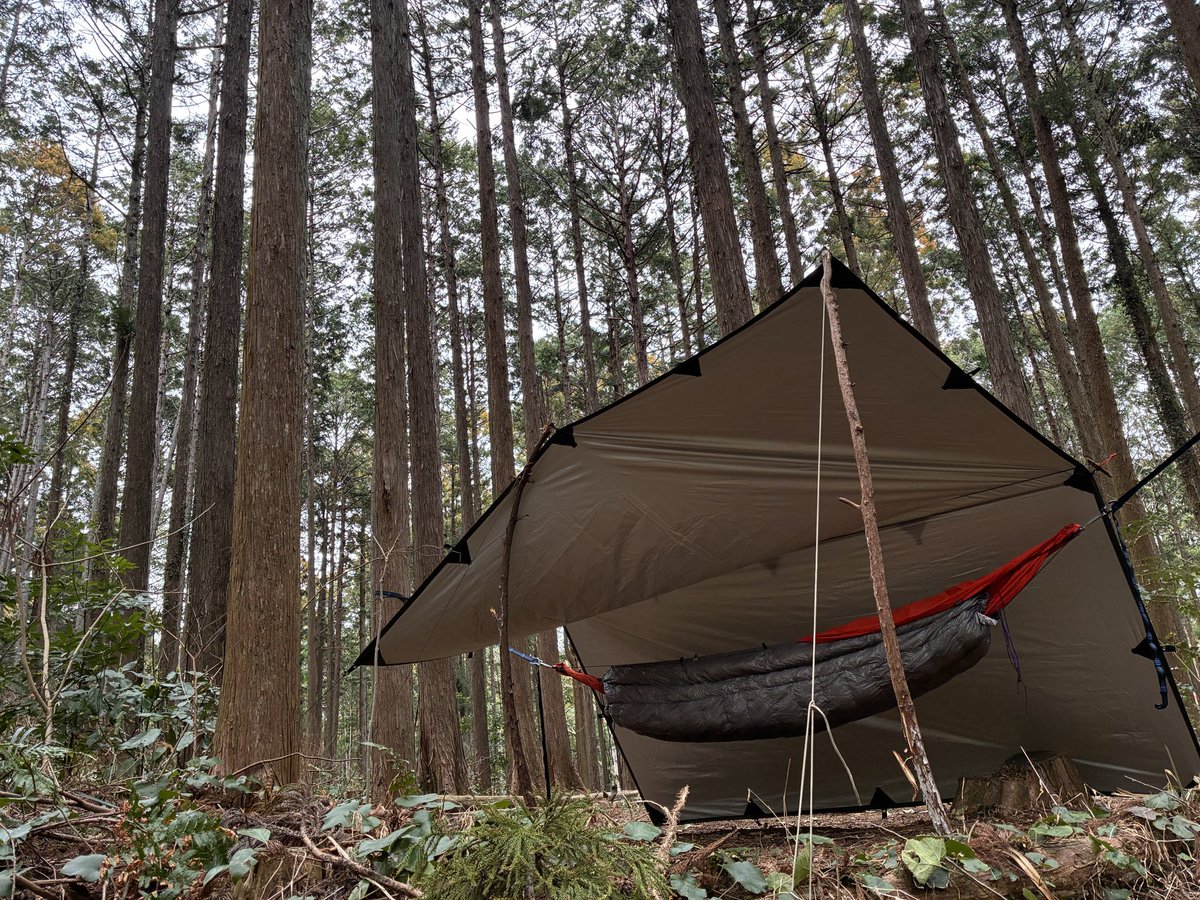 ハチワレキャンプ△ tweet media