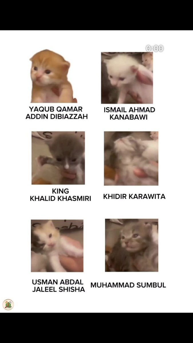 <a href="/fluoxetan/">ega</a> anak2nya abu huraira