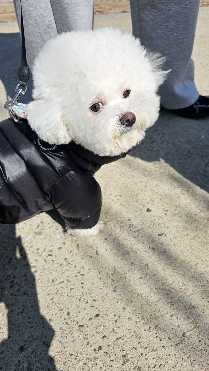 남의연애4 tweet media