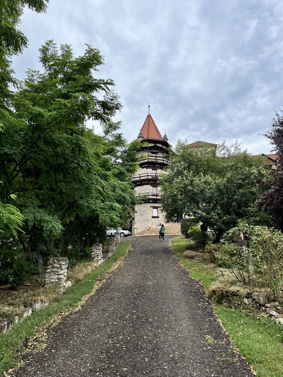 Sebi | Crypto Analyst tweet media