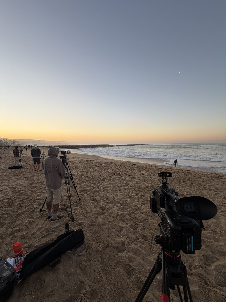 ImASurferDude tweet media