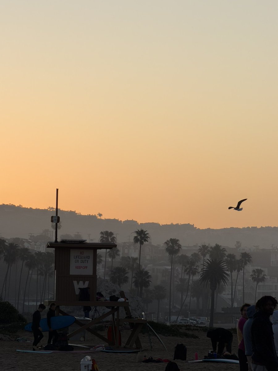 ImASurferDude tweet media