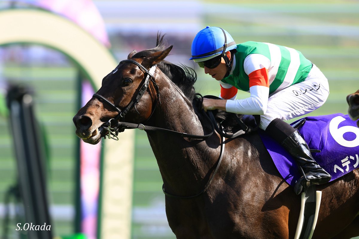 新品✨ JRA スカジャン L ブラック ゴールド 競馬 ウインズデー 競馬 新品✨ JRA スカジャン L ブラック ゴールド 競馬 ウインズデー 競馬