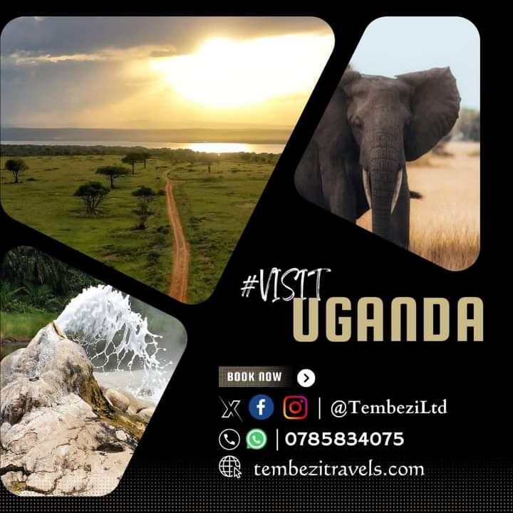Friday feeling? Let's help you hit the road in comfort! 🌍 Let Tembezi Travels vans take you on the Ugandan adventure of a lifetime this weekend, and whenever you need to.

Talk to us today! 
#VisitUganda #TembeziTravels #WeekendGetaway