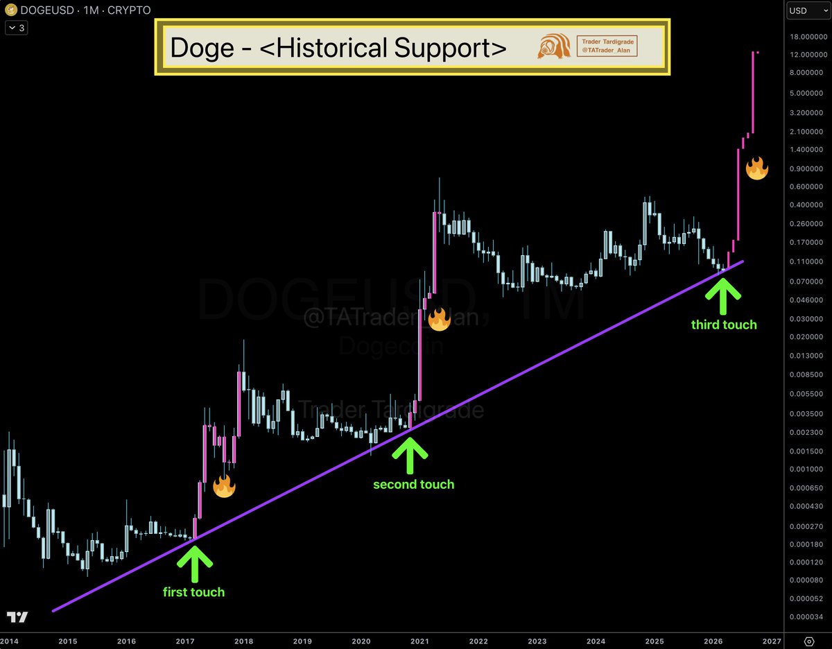 Trader Tardigrade tweet media