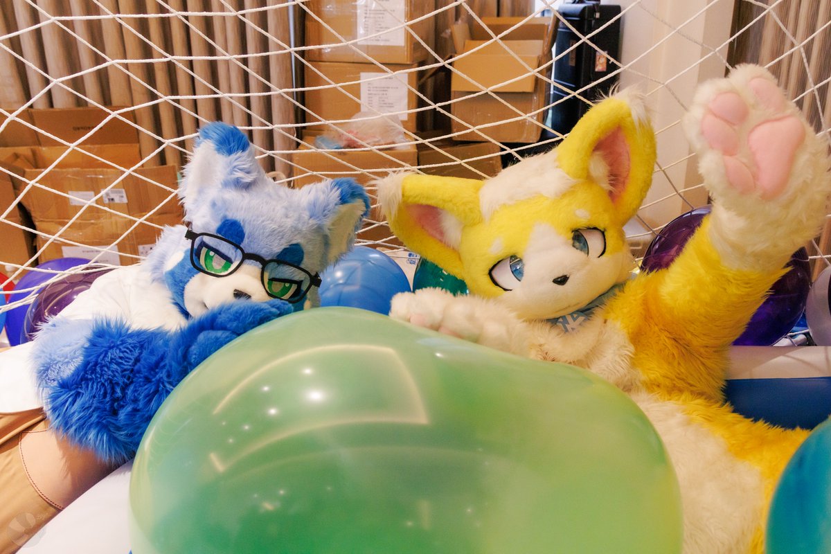 ⚡頹廢小雷⚡RAI ライ😸 tweet media