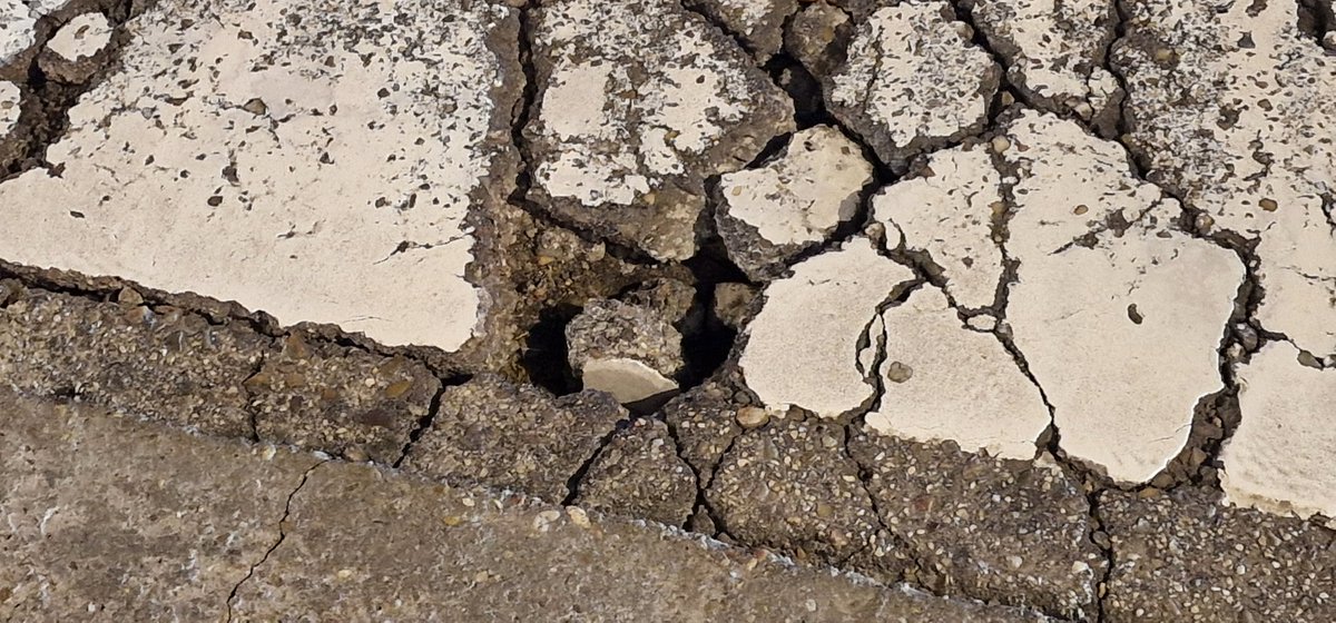 Elsa Diez tweet media