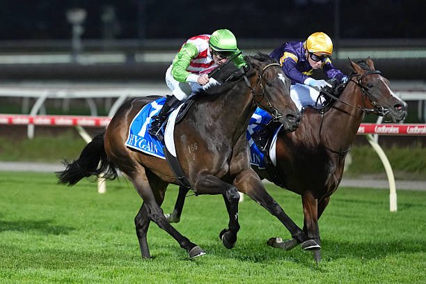 Reece Goodwin tweet media