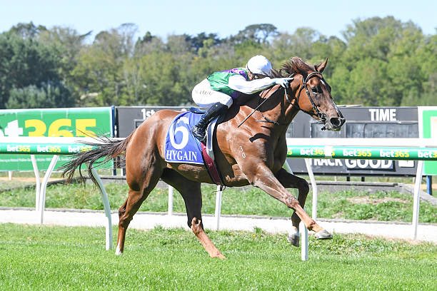 Reece Goodwin tweet media