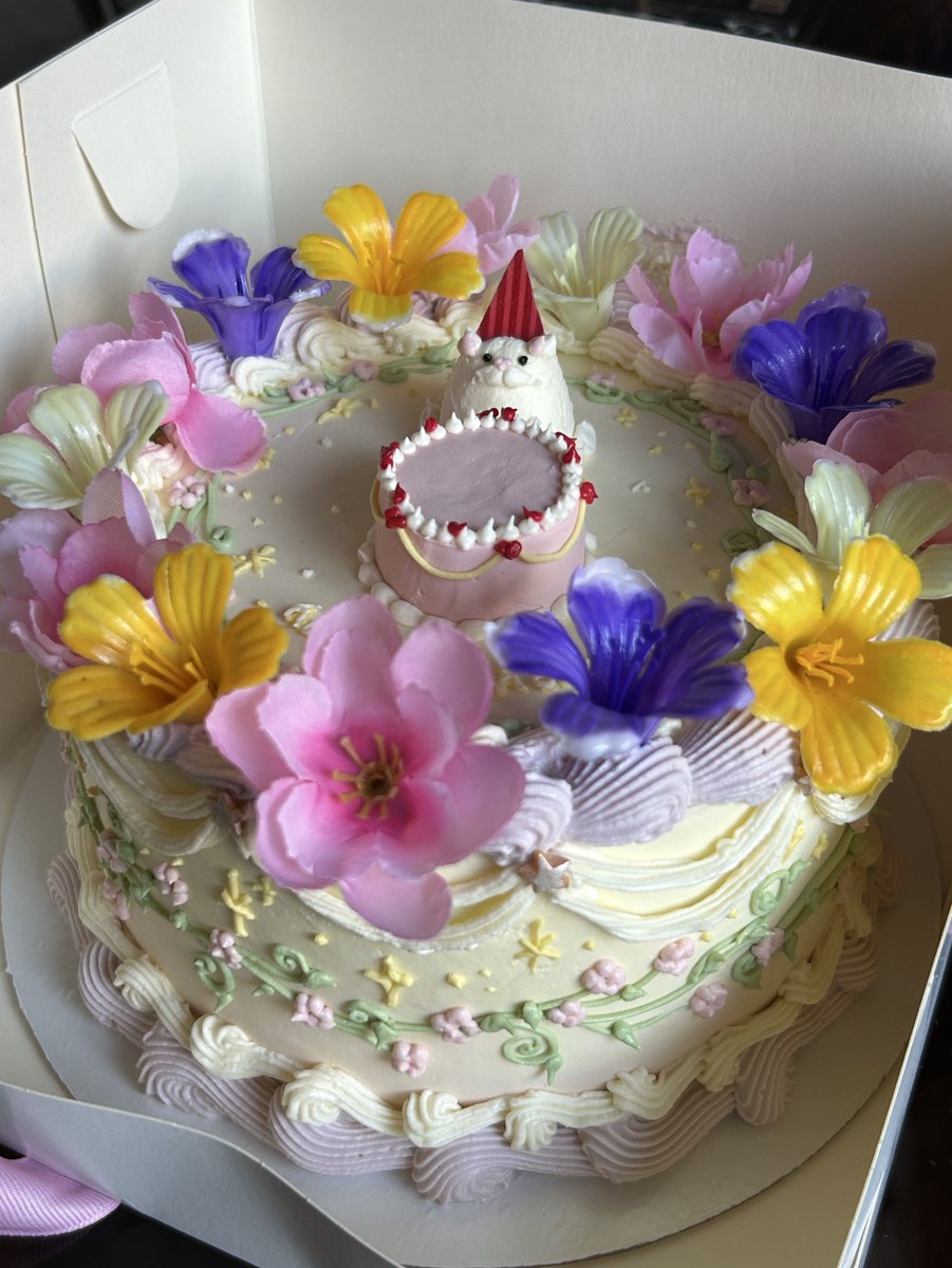 дельфи 🕊 tweet media