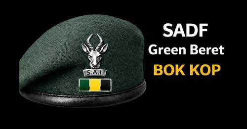 Mufasa007 tweet media