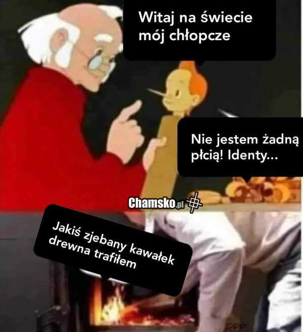 Dobry... Widać, że zjebany kawałek drewna, bo ryże kudły nawet ma😜