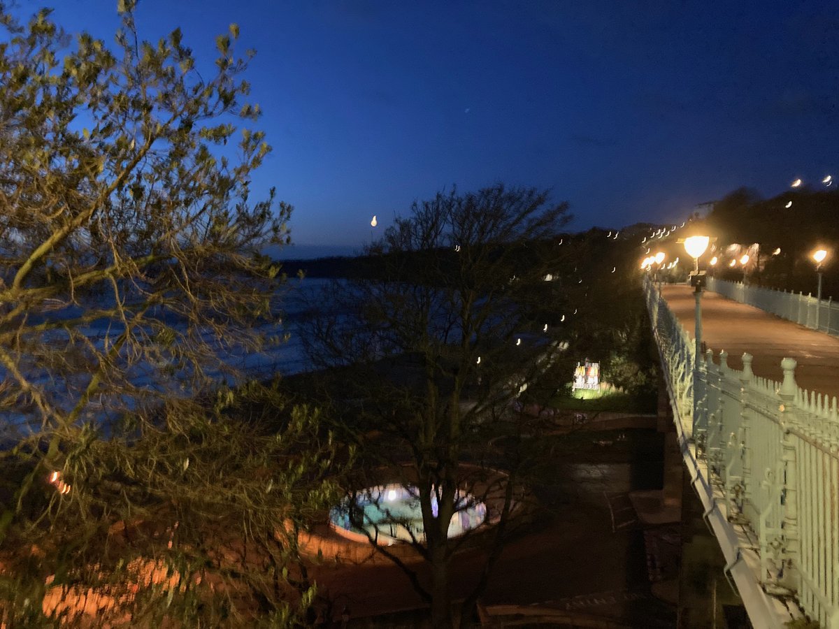 Faith Young Writer tweet media