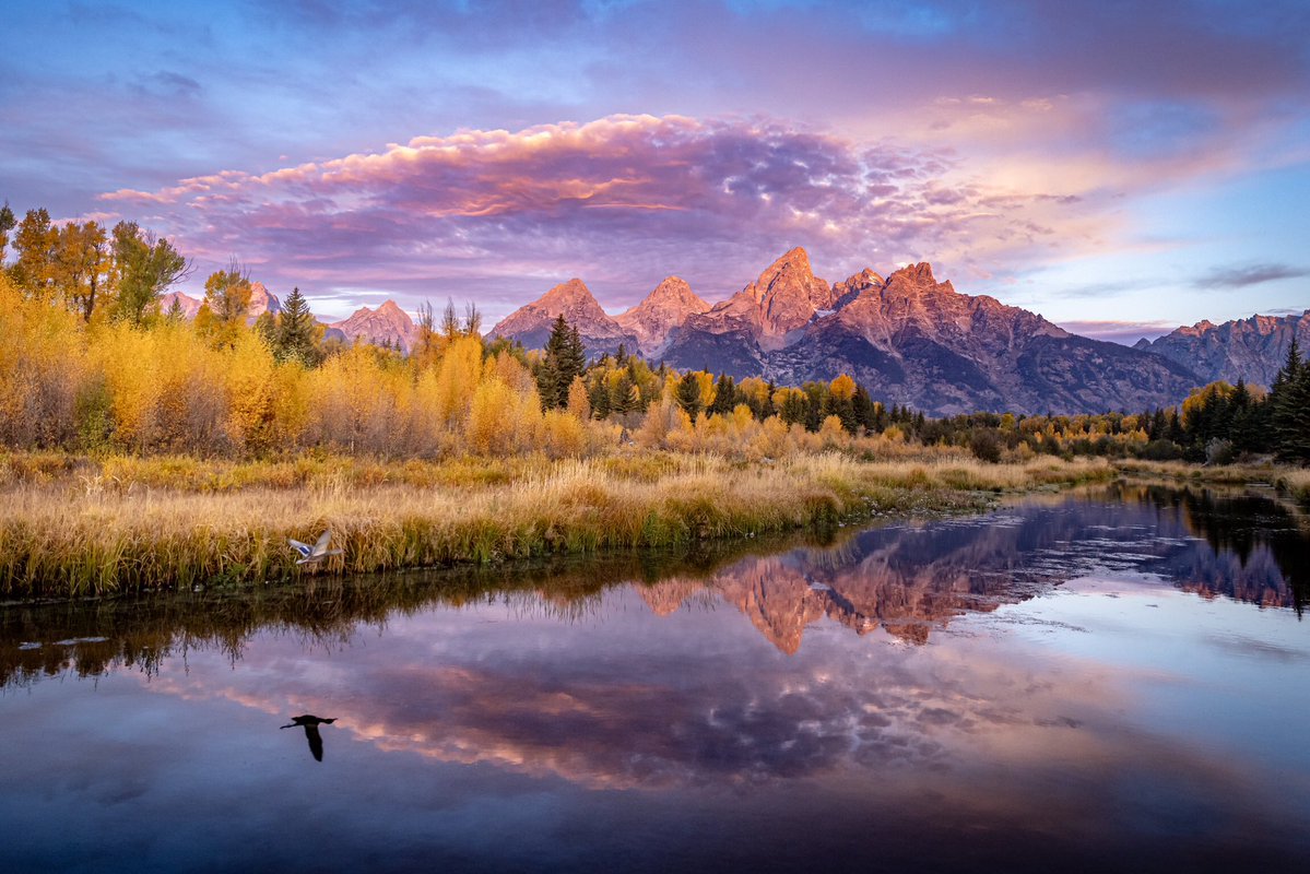 Patrick Barron 🐻〽️ tweet media