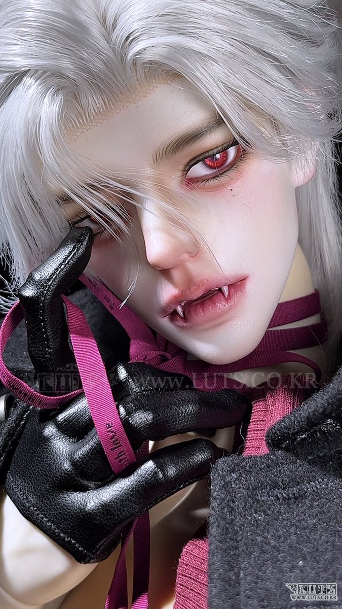 루츠돌 tweet media