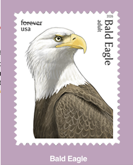 lpamanian's tweet photo. #Postage #ForeverStamp #ForeverStamps #Stamps #NoMoreBoringEnvelopes #MailLove #SendMoreMail #USPS #UnitedStatesPostalService #USPostalService #USPSEmployee https://t.co/tSbRIUj3gZ