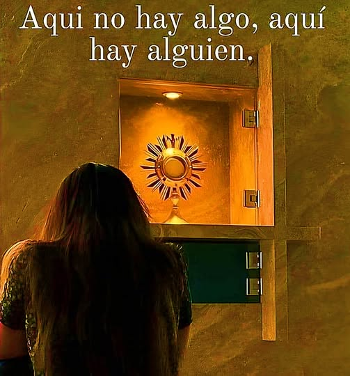 Seguidores de Asís (@seguidoresofs) on Twitter photo 