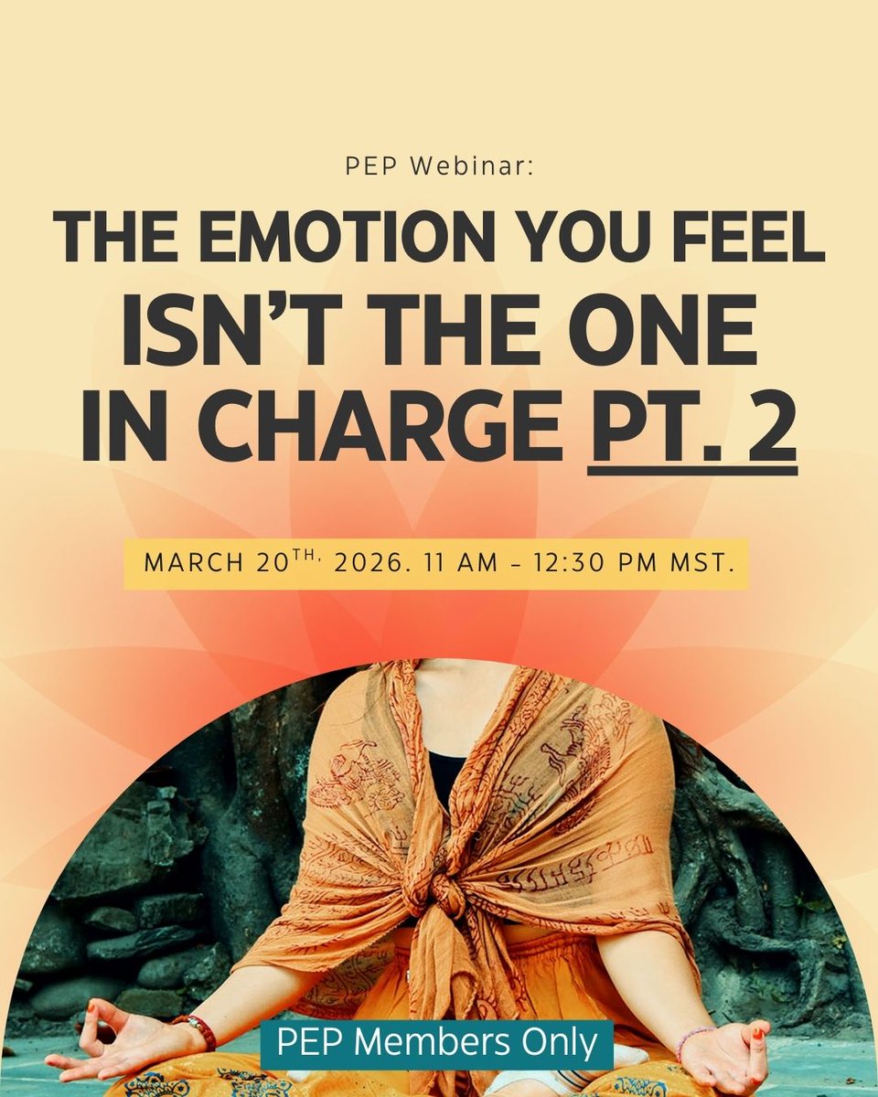 dischealing tweet media