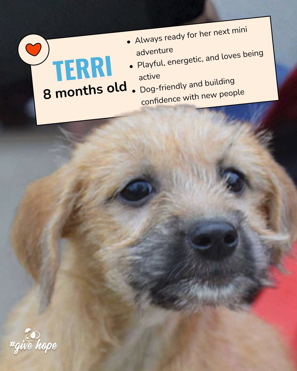 ROLDA Org tweet media