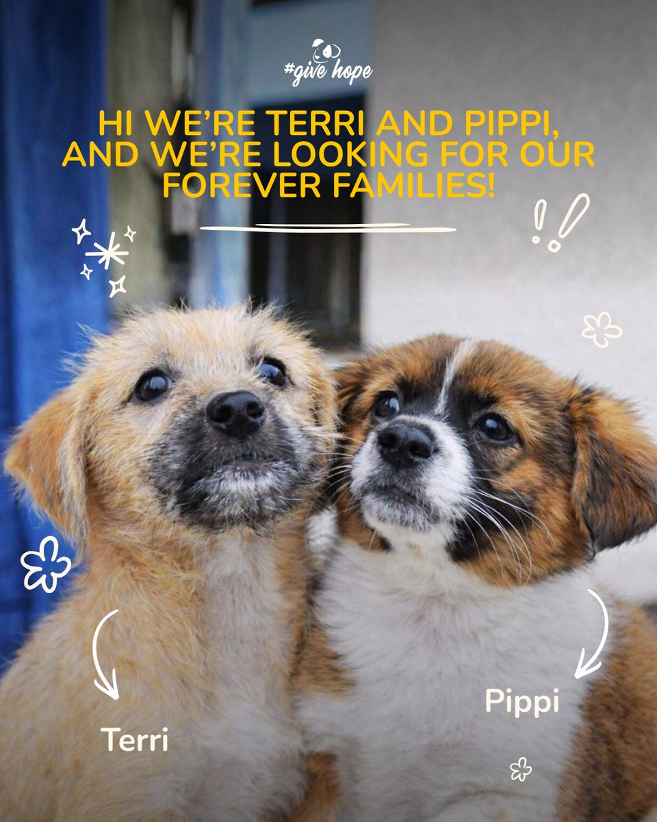 ROLDA Org tweet media