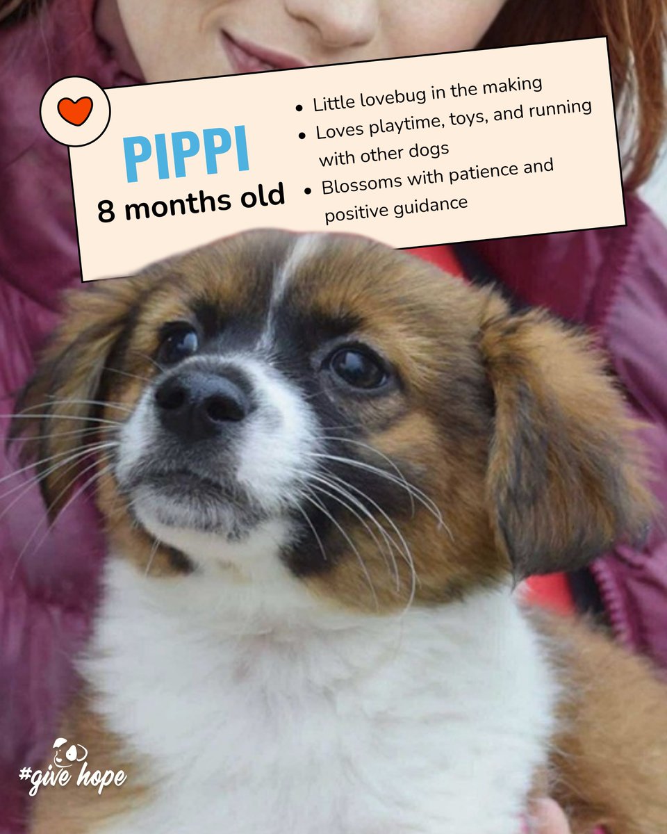 ROLDA Org tweet media