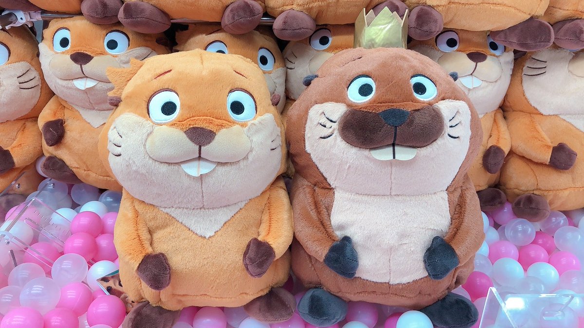 私がビーバーになる時　Lぬいぐるみ　キング・ジョージ メイベル·タナカ　12個 🦫👑🦫景品入荷情報🦫👑🦫 『私がビーバーになる時 Lぬいぐるみ