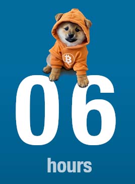 Vincent (Cryptolution) 👑 tweet media