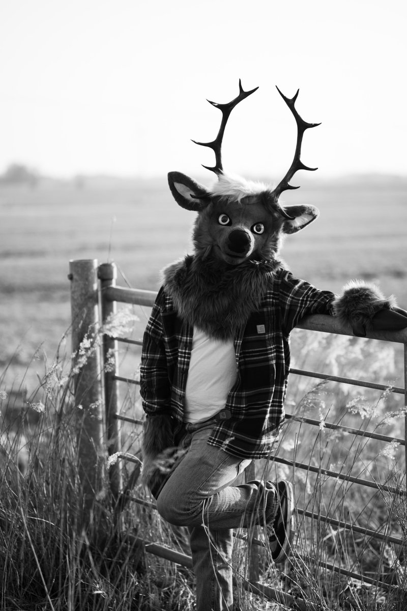 RuckusDeer's tweet photo. From Ashes

📷 Nikon Zf - Nikkor 105mm 2.5

#FursuitFriday https://t.co/R3WBKsH6ek