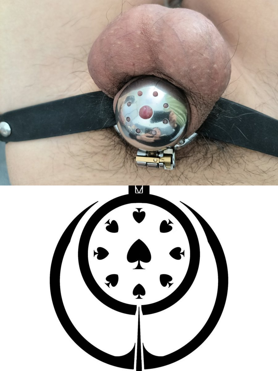 IntegritySword's tweet photo. small#Chastity #ChastityCage #MaleChastity #CockCage #Keyholder #Femdom #OrgasmDenial #ChastityDevice #BDSM #Locked https://t.co/WGFstgcXwE