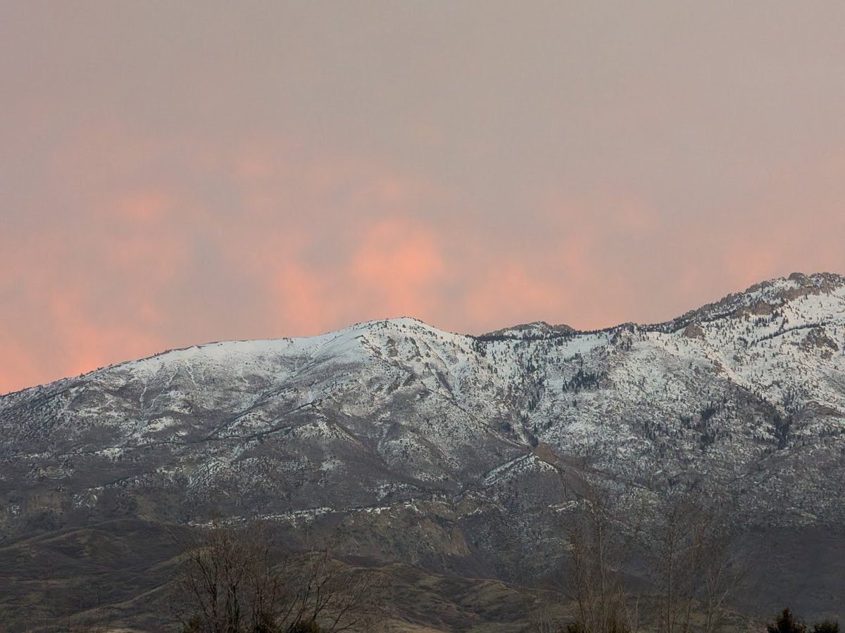 Scott Wessman tweet media