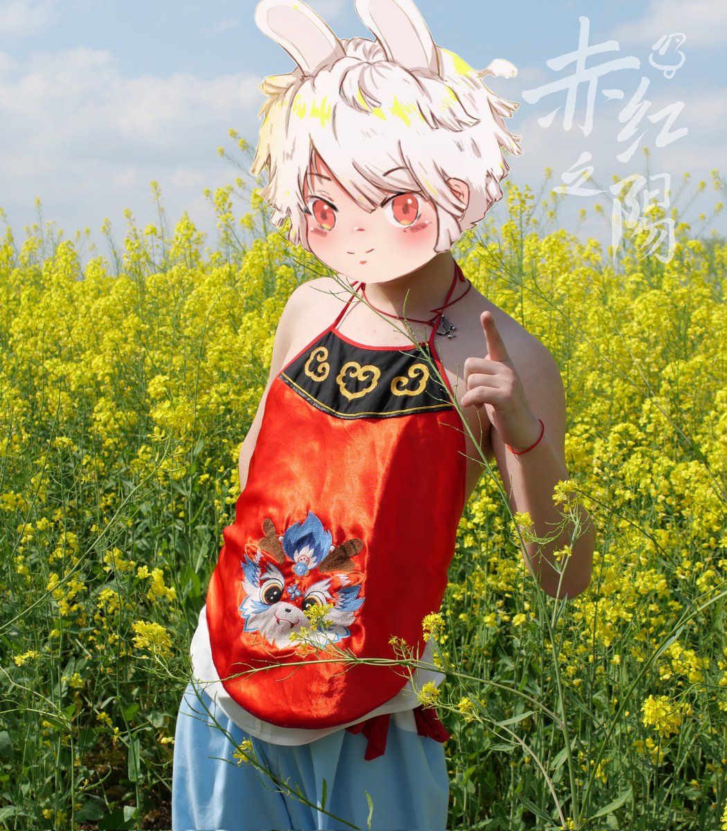 赤红之阳 tweet media