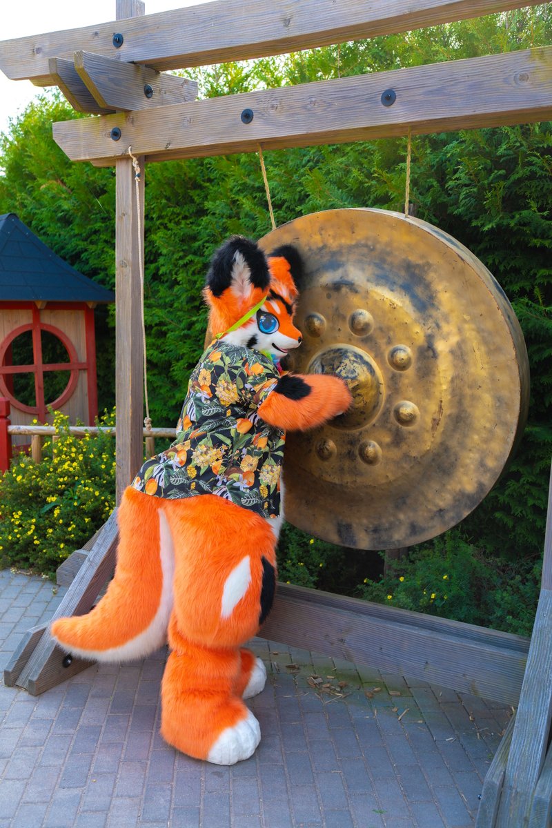 Ailurus, Ryūki & Júzǐ tweet media