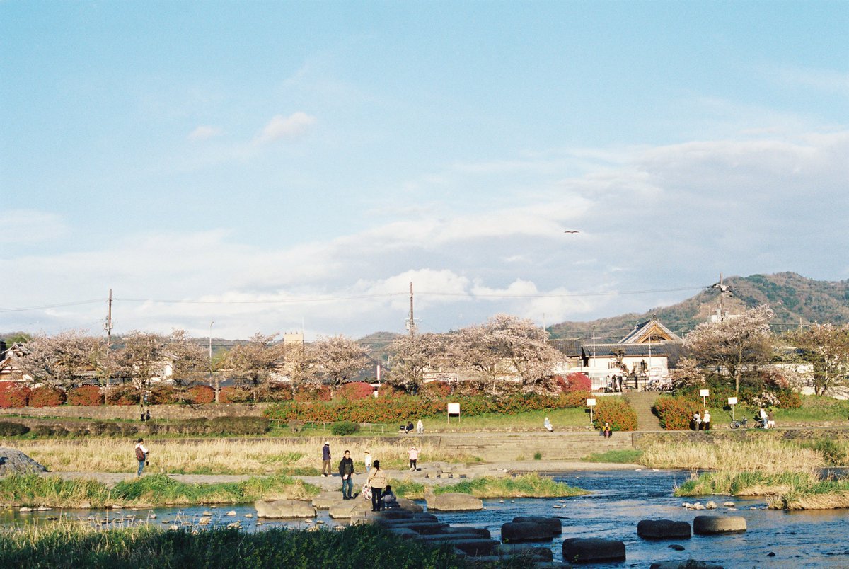 Miju咪啾 tweet media