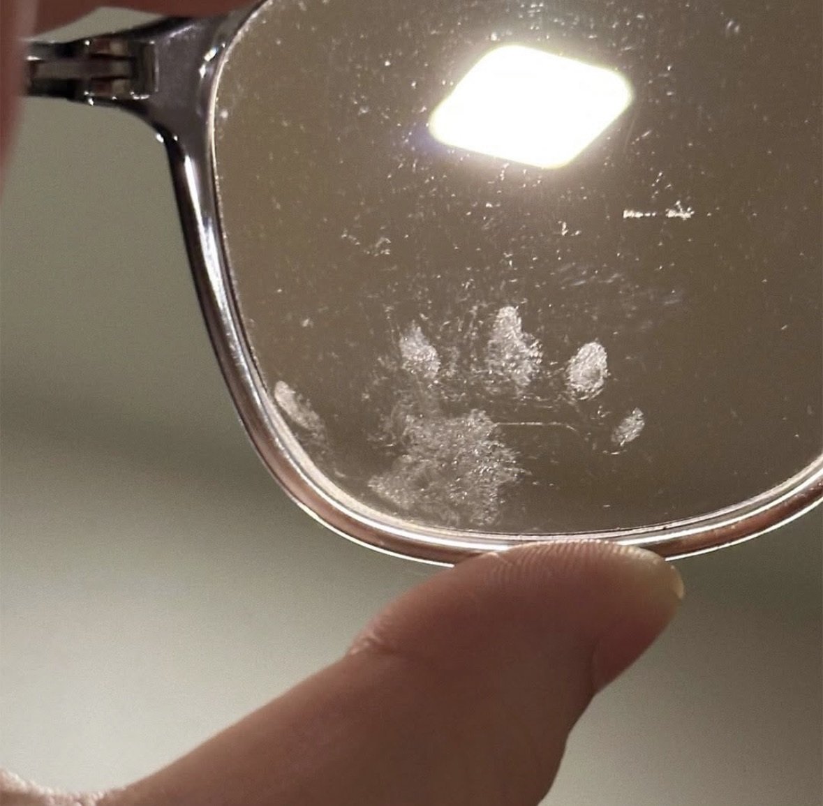 힐링짤모으는곳 tweet media