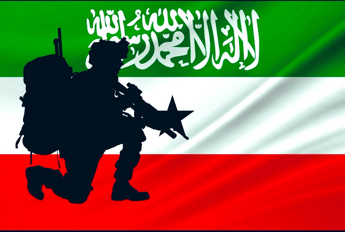 𝗦𝗢𝗠𝗔𝗟𝗜𝗟𝗔𝗡𝗗 𝗗𝗘𝗙𝗘𝗡S𝗘 ⚔️ 🟩🔳🟥 tweet media