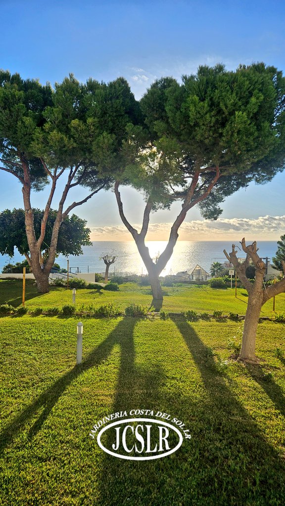 Realizamos un completo mantenimiento de tus jardines y zonas comunes, obteniendo los mejores resultados.
We carry out comprehensive maintenance of your gardens and communal areas, achieving the best results. #jardín #jardineriacostadelsol #garden