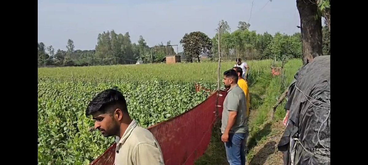 Anti Narcotics Task Force, UP tweet media