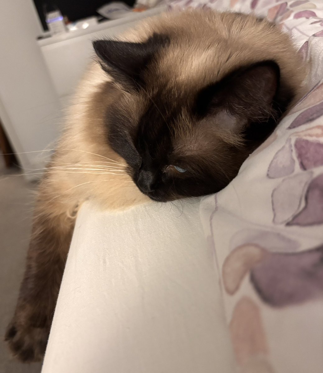 StevieDee tweet media