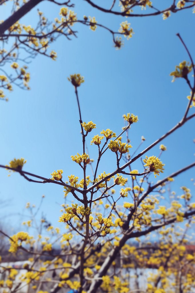 ๋ฌ๋น๐ tweet media