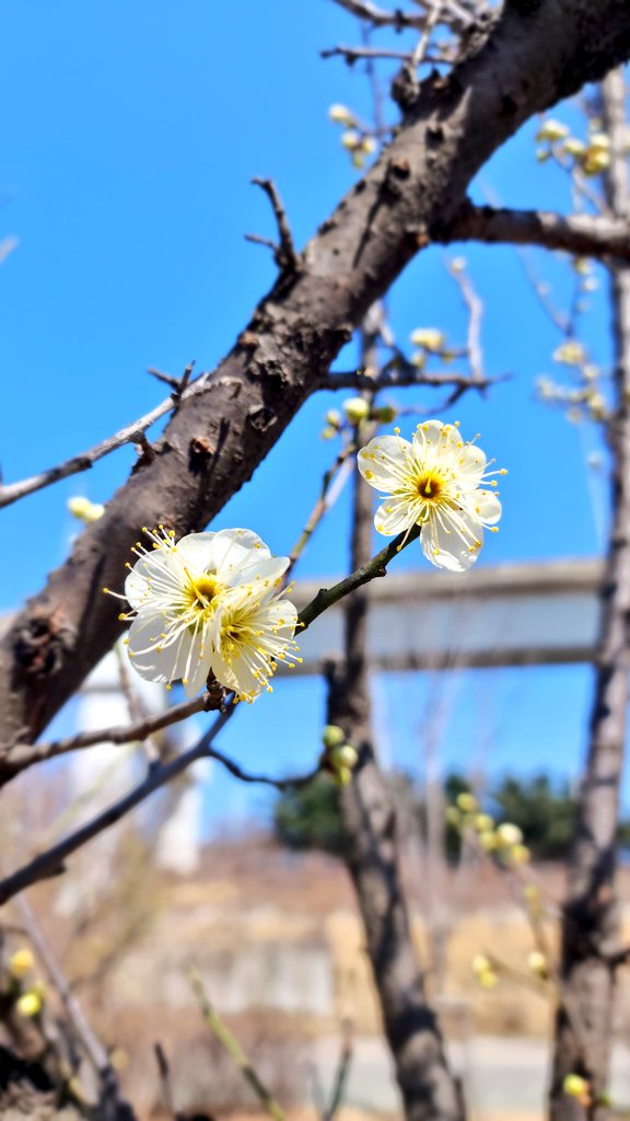 ๋ฌ๋น๐ tweet media