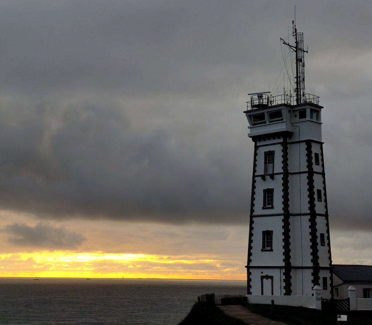 ariel STRABONI tweet media