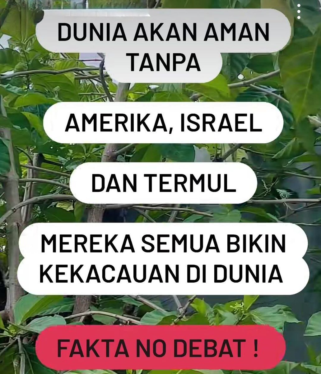 raya kanahaya tweet media