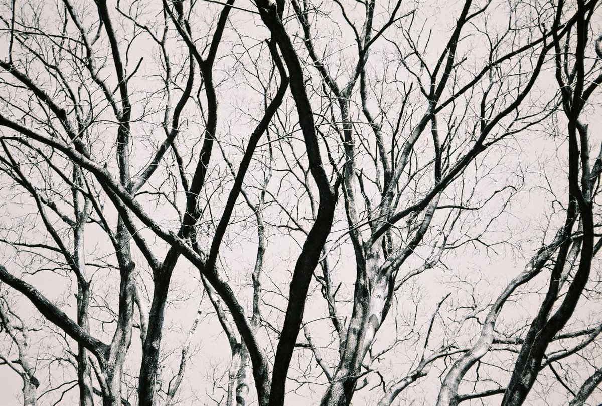 くもりのち kumorinochi tweet media