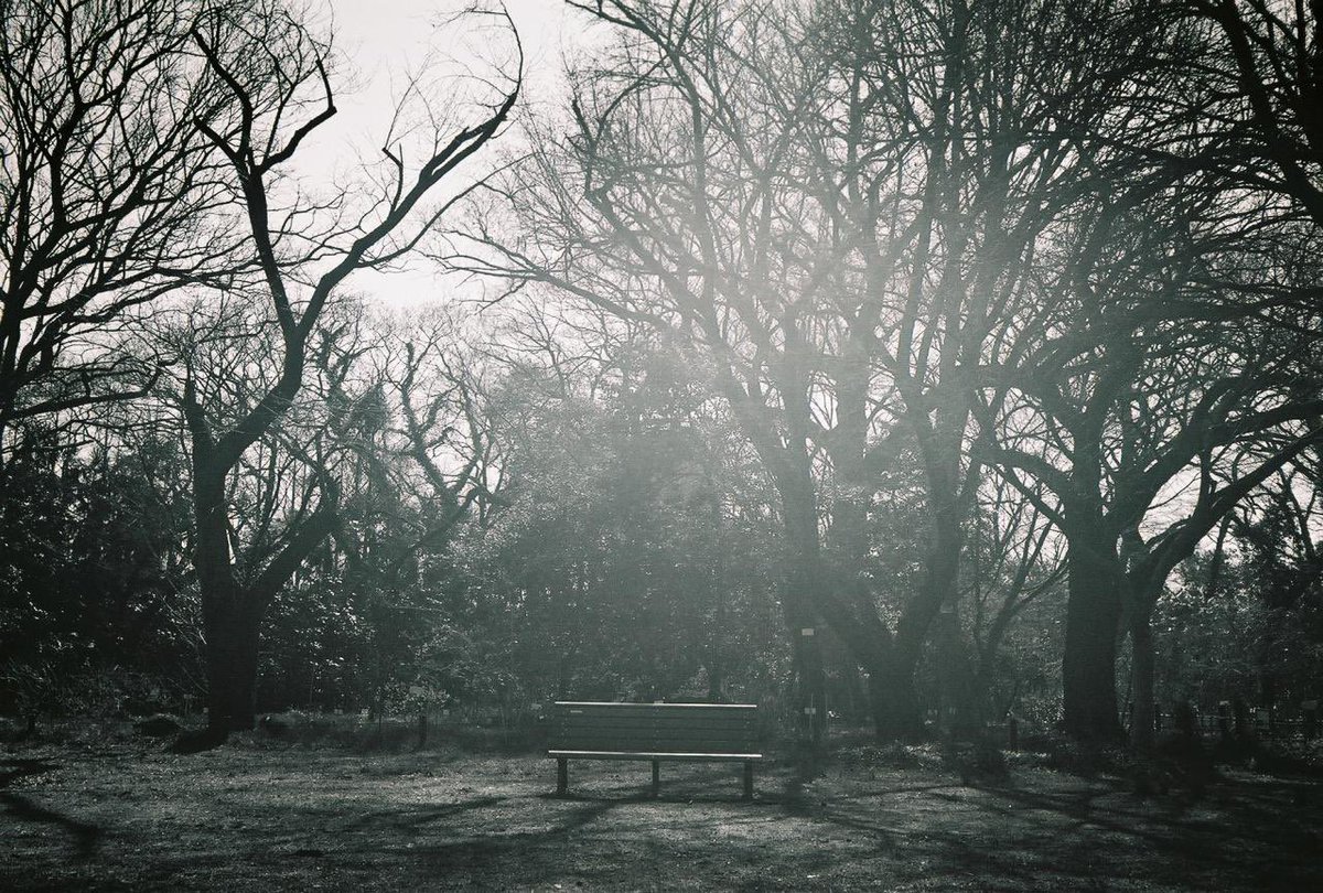 くもりのち kumorinochi tweet media