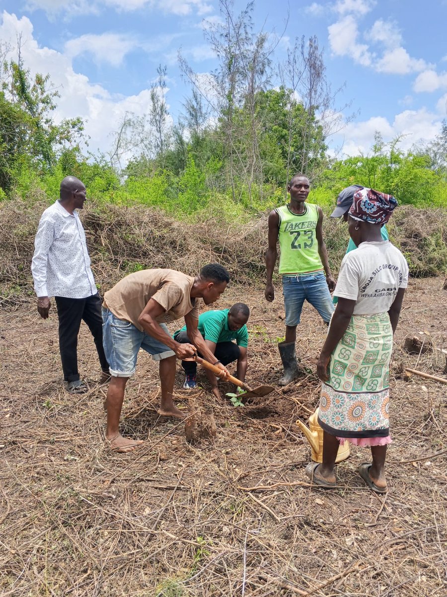 Coast_Dev_Authority tweet media