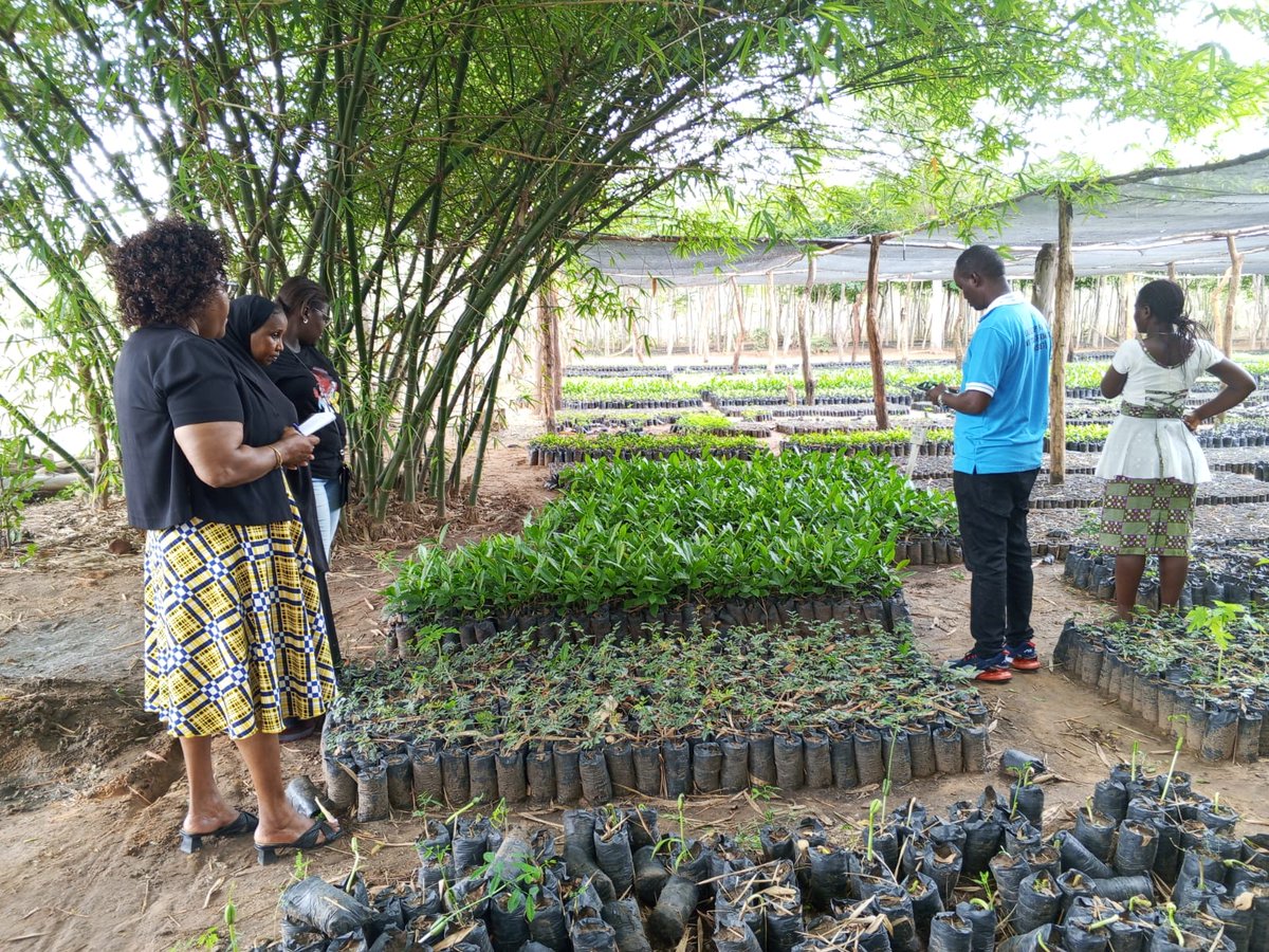 Coast_Dev_Authority tweet media