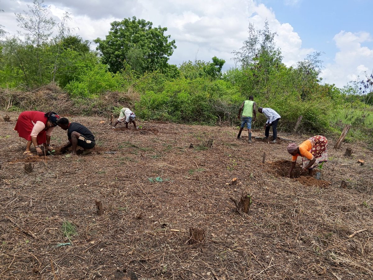 Coast_Dev_Authority tweet media