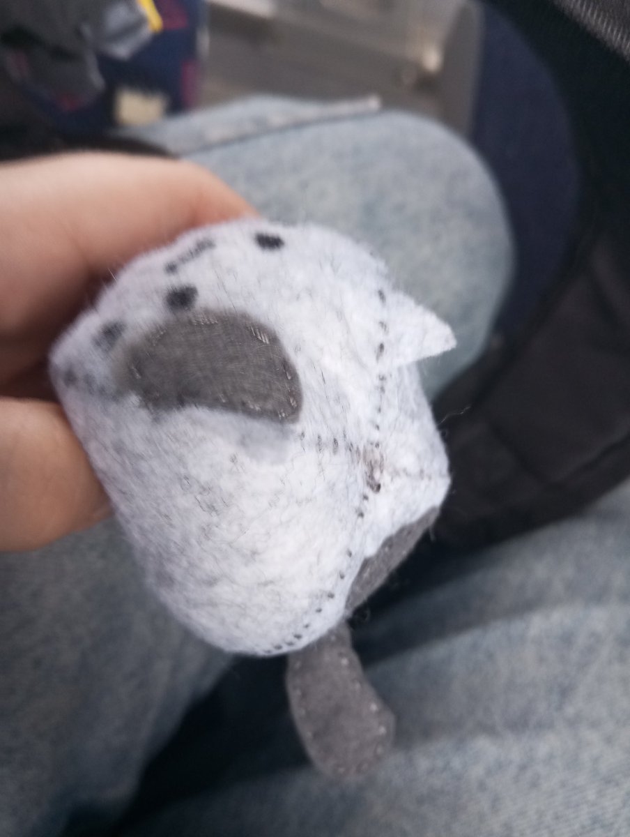 Aleksandro tweet media