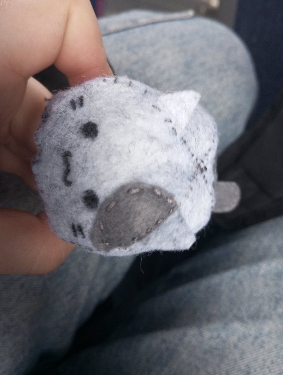 Aleksandro tweet media